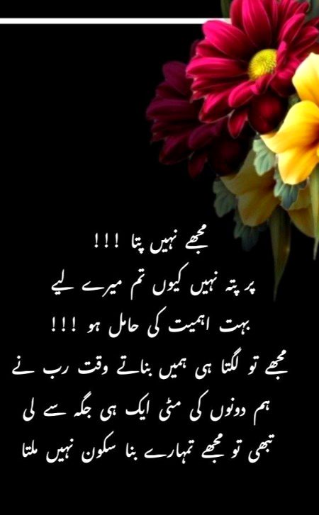 Suspense Novels image