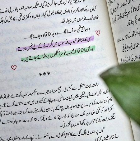 Romantic Novels image