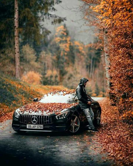 Beautiful Nature image