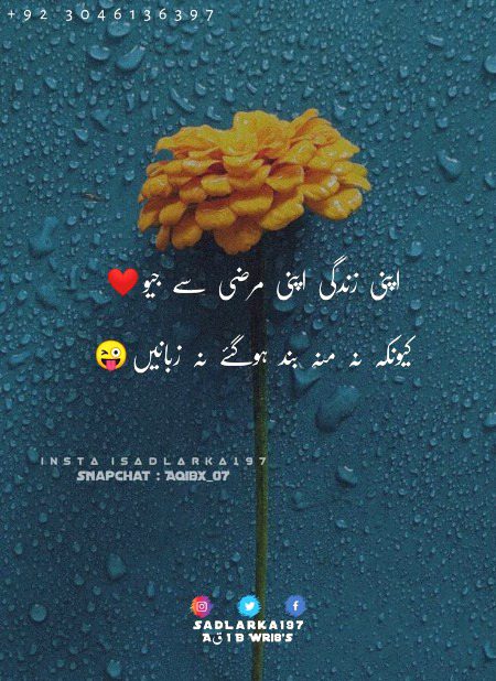 Attitude Quotes image