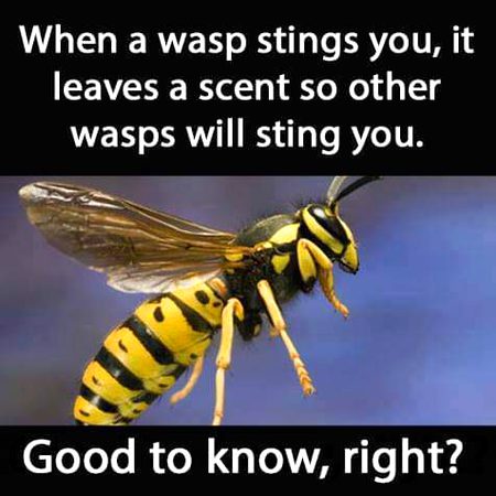 Interesting Posts image