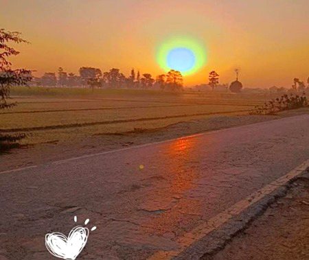 Beautiful Nature image