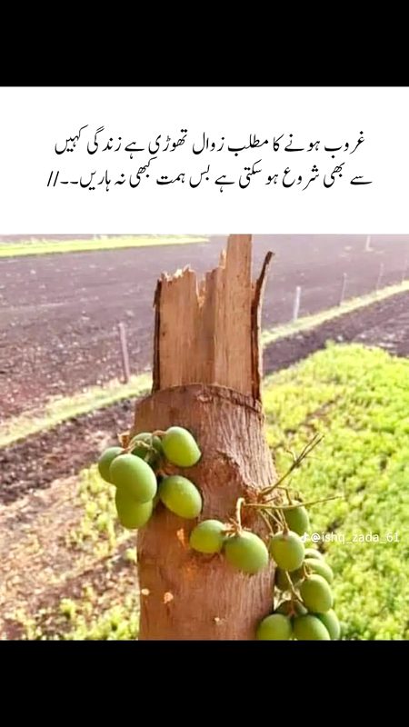 Himat kbi na harein
