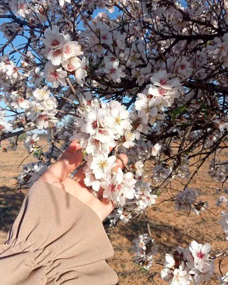 Beautiful Nature image