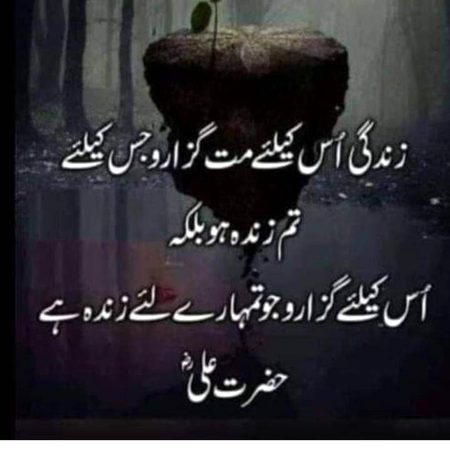 Life Advice image