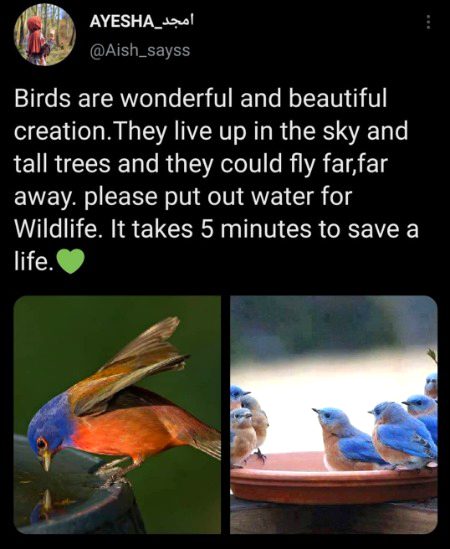 Beautiful Nature image