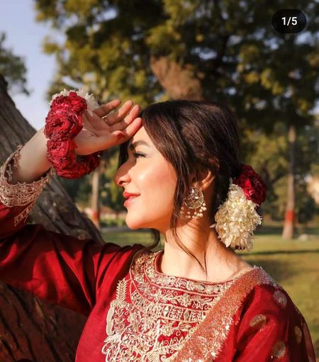 Pakistani Celebs image