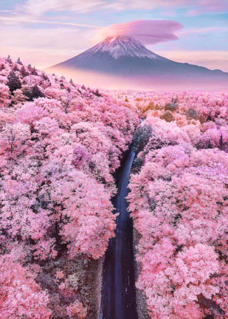Beautiful Nature image
