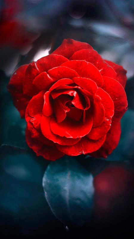 Rkh lu ankho mn Mai👁️👁️kholu plken na mn💯🔥🙅❣️..koi tujh ko na mujh Sy
churalay😥