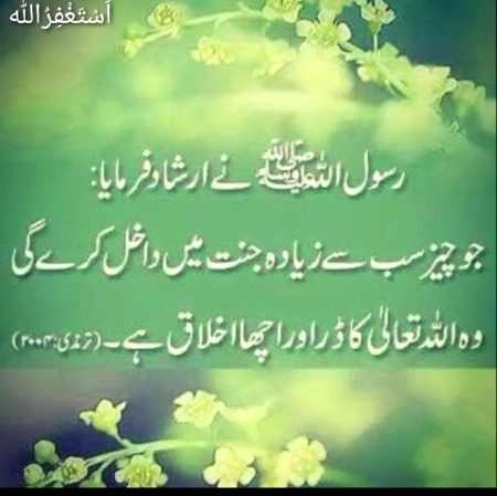 Islamic Quotes image