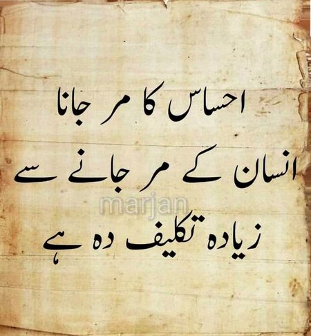 Motivational Quotes image