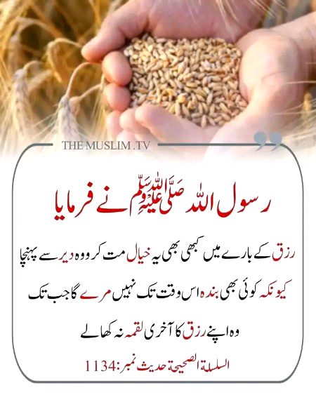 Islamic Quotes image