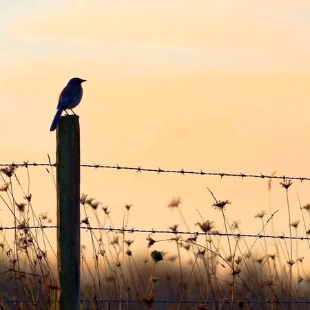 Beautiful Nature image