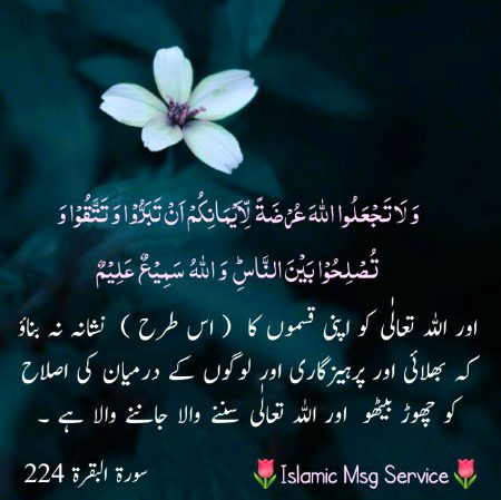 Islamic Quotes image