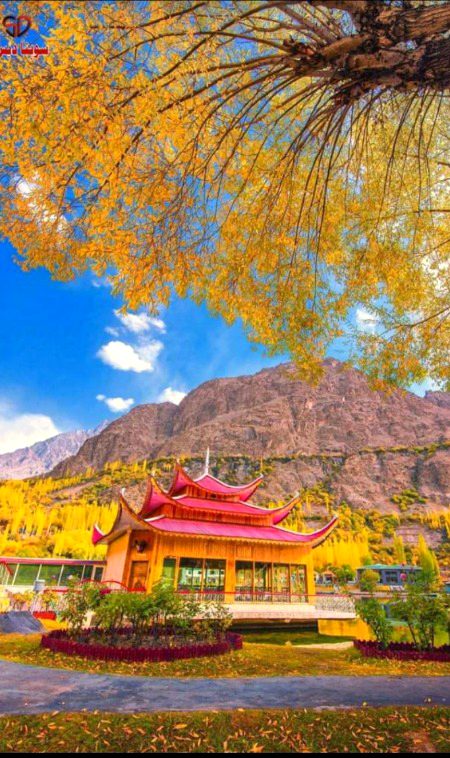 Beautiful Nature image