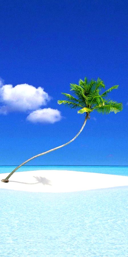Beautiful Nature image