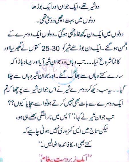 Insan ki aqal bs itni c h....  agr janwer kaho tu bura man jata h..or sher kho tu khush ho jata h✅