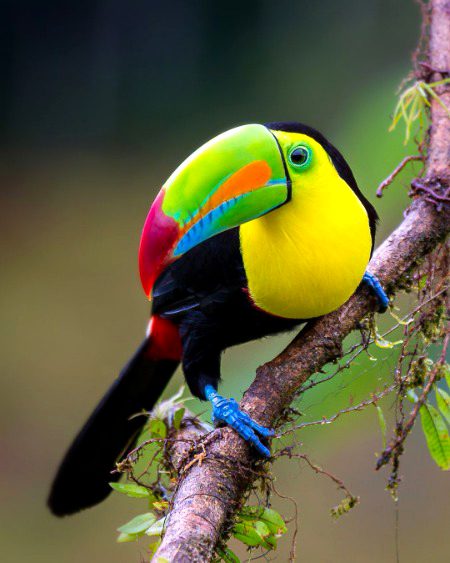 Beautiful Nature image
