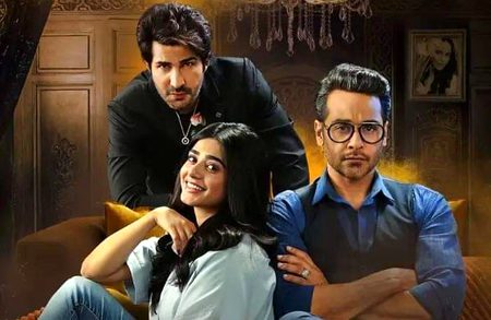 Pakistani Celebs image