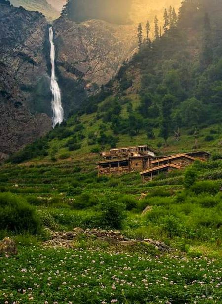 Beautiful Nature image