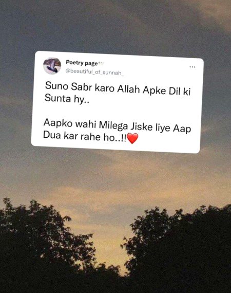 Beshakk.😶