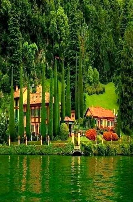Beautiful Nature image