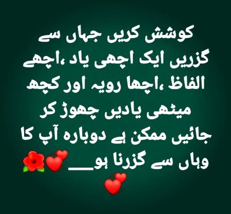 No Caption 🌺🌺