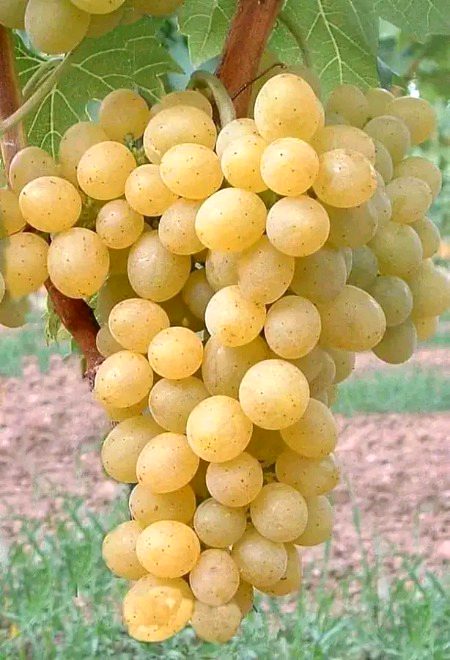 Beautiful Nature image