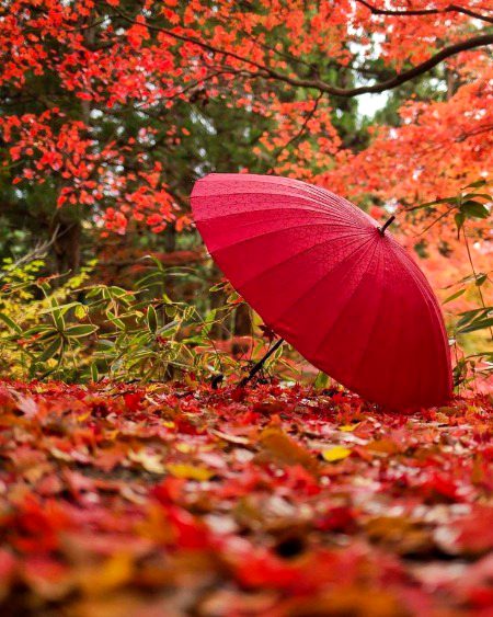 Beautiful Nature image