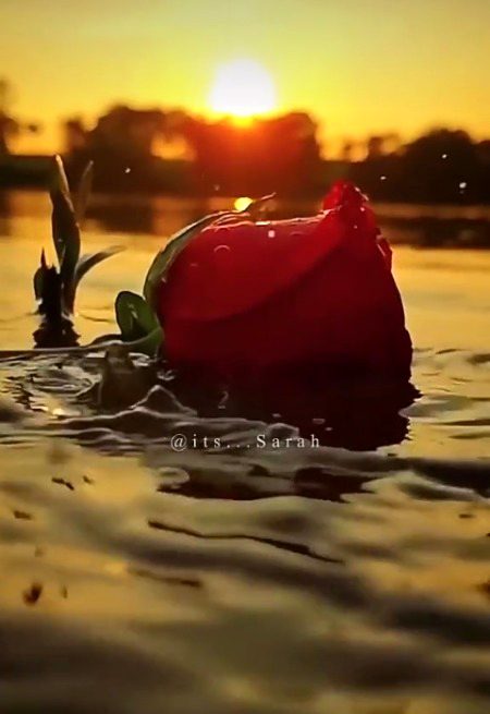 Beautiful Nature image