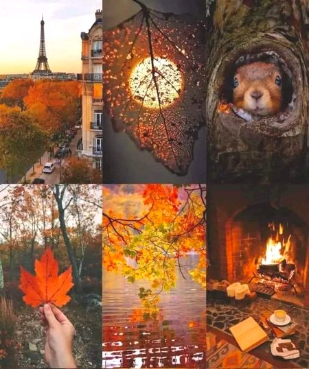 Beautiful Nature image