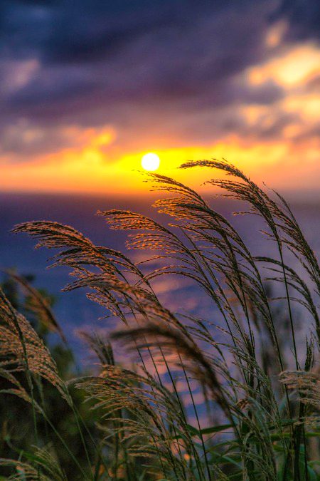 Beautiful Nature image