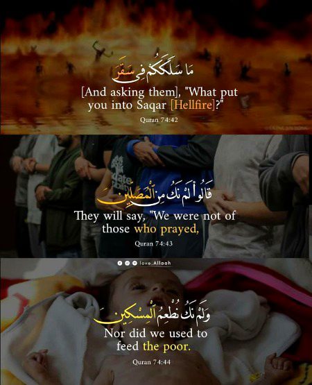 Islamic Quotes image