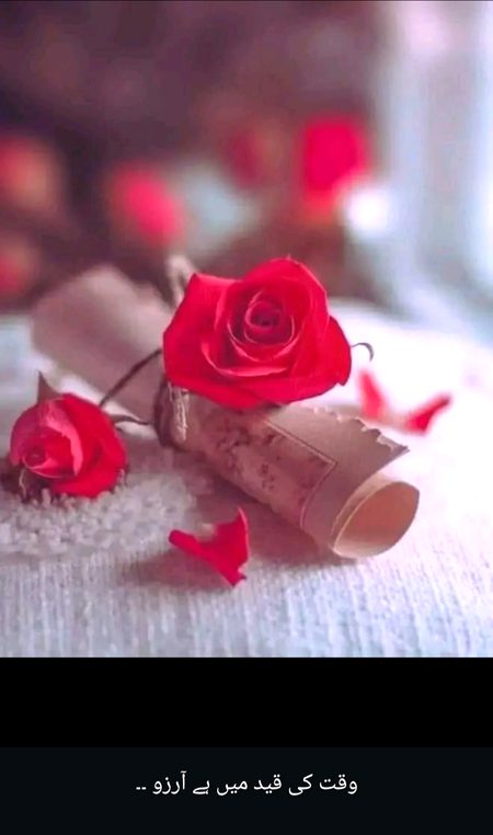 Beautiful Nature image