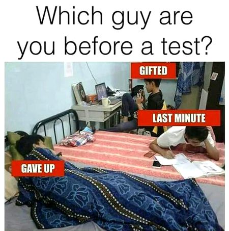 Memes & Satire image