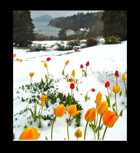 Beautiful Nature image