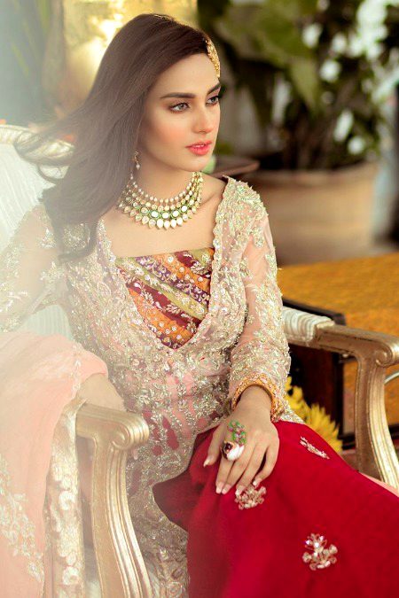 Pakistani Celebs image