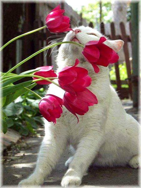 Nature 🌷