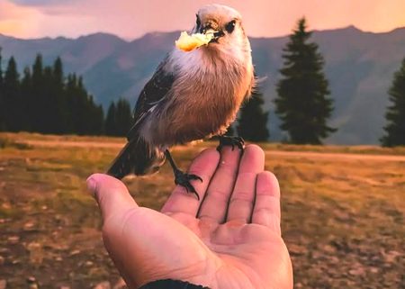 Beautiful Nature image