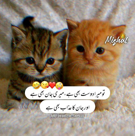 Jokes image