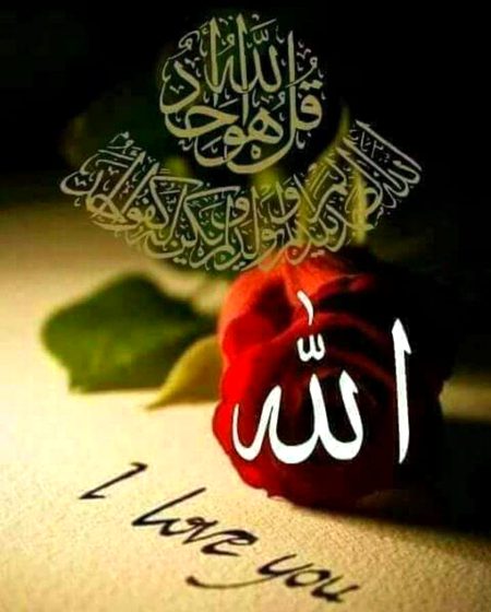 Islamic Quotes image