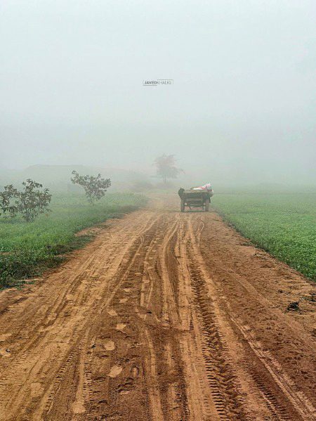 Beautiful Nature image