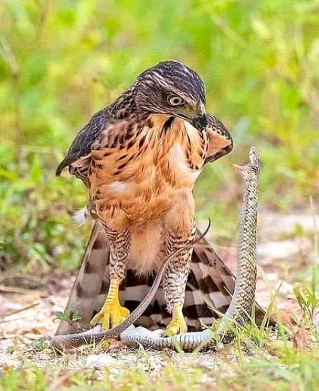 Beautiful Nature image