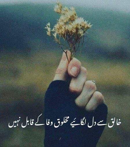 Right🌹🌹