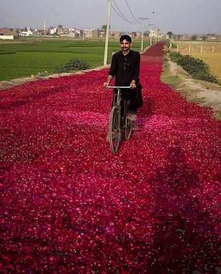 Beautiful People image