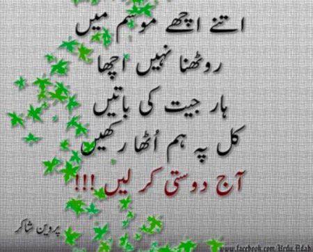 💚💛💜💚💛💜💚💛💜