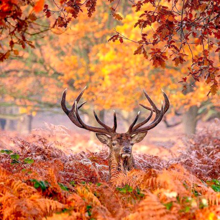 Beautiful Nature image