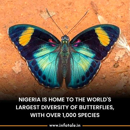 Interesting Posts image