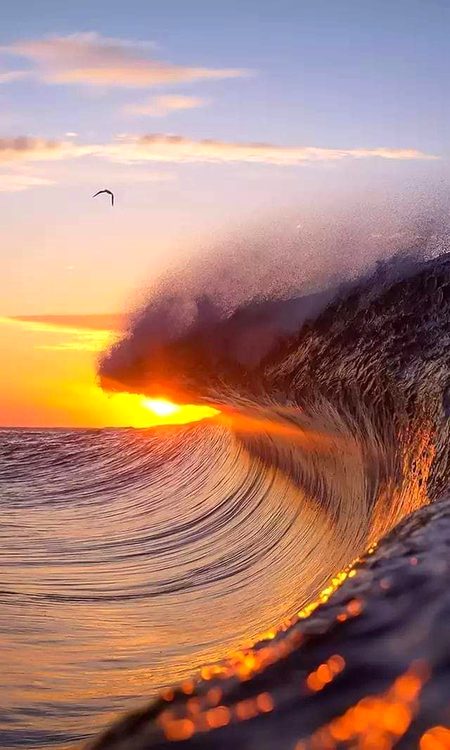 Beautiful Nature image
