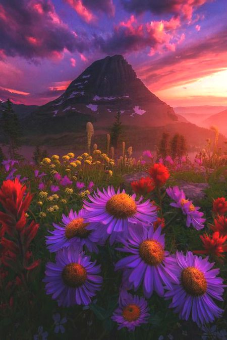 Beautiful Nature image